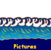 Pictures